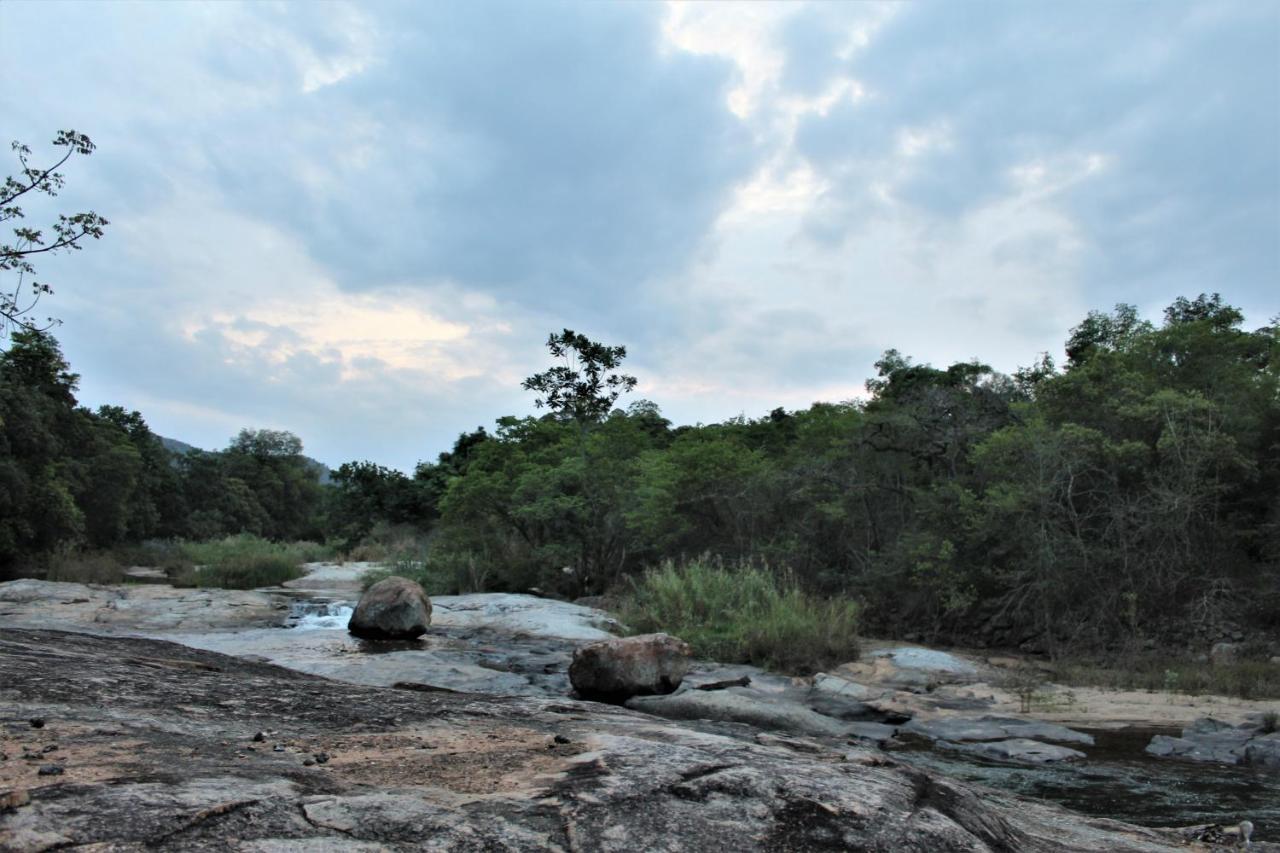 Lions Rock Rapids - Lodge Hazyview Eksteriør billede